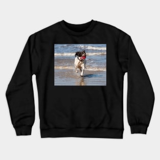 English Springer spaniel Crewneck Sweatshirt